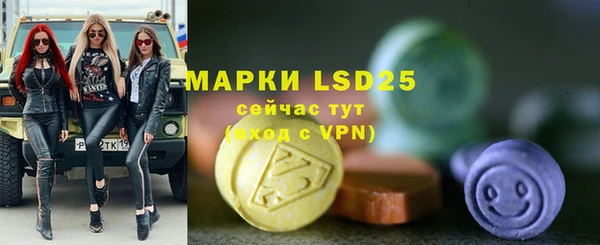 прущие грибы Алзамай