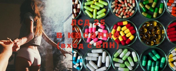 прущие грибы Алзамай