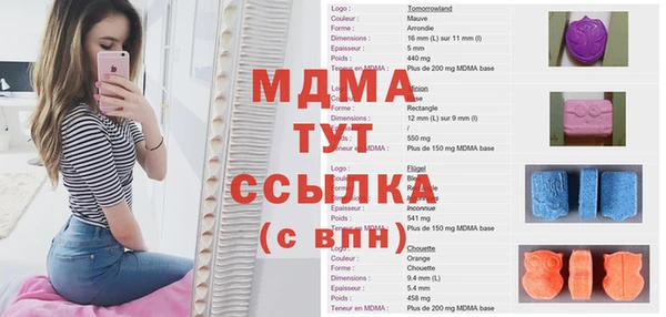 прущие грибы Алзамай