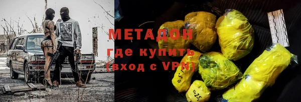 прущие грибы Алзамай