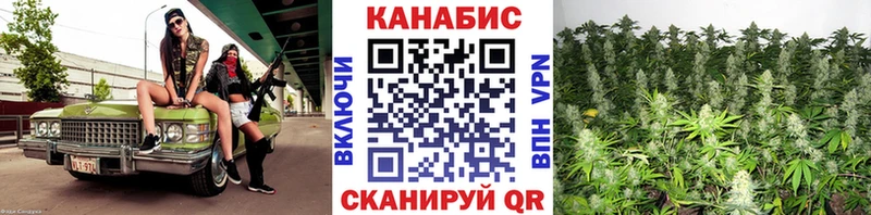 Каннабис OG Kush  Выкса 